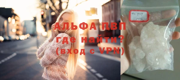 индика Аркадак