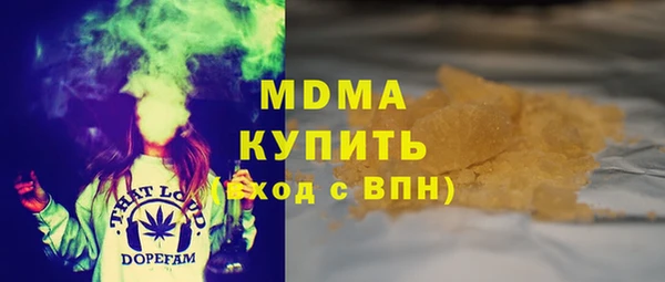 индика Аркадак