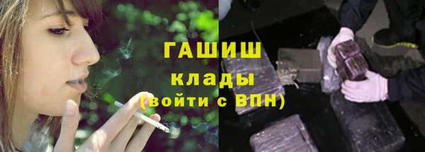 индика Аркадак