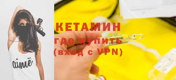 индика Аркадак