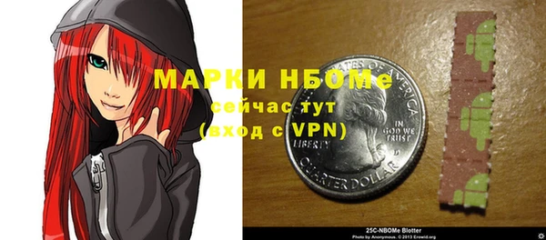 индика Аркадак