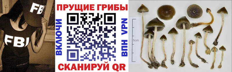 Галлюциногенные грибы Magic Shrooms  Наволоки 